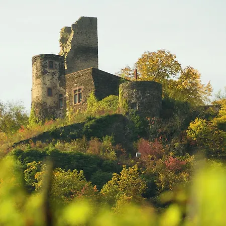 Hotel Hotel-restaurant-weingut Kapellenhof