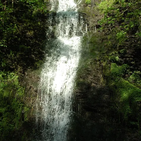 Hotel-restaurant-weingut Kapellenhof Hotel Klotten