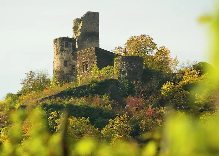 Hotell Hotel-restaurant-weingut Kapellenhof
