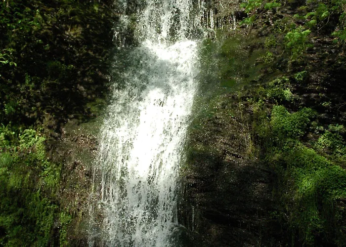 Hotel-restaurant-weingut Kapellenhof Hotel Klotten
