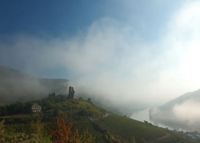 Hotel-restaurant-weingut Kapellenhof